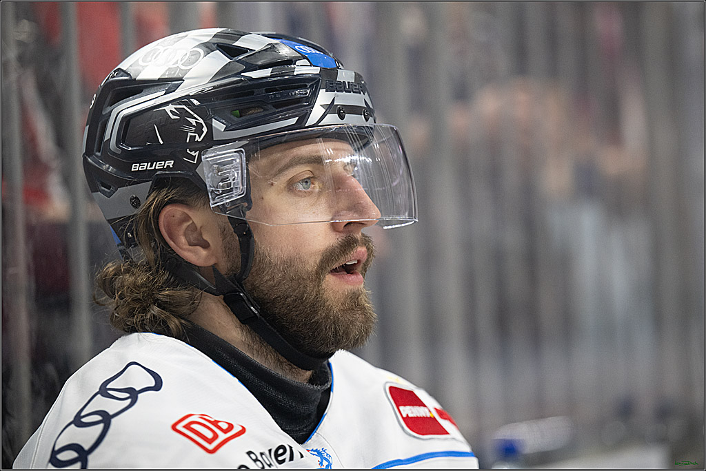 PENNY DEL; Koelner Haie- ERC Ingolstadt; Koeln, 04.04.2025