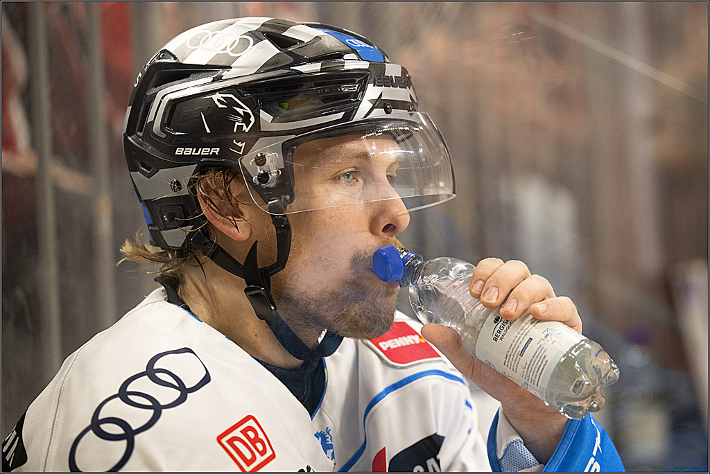 PENNY DEL; Koelner Haie- ERC Ingolstadt; Koeln, 04.04.2025