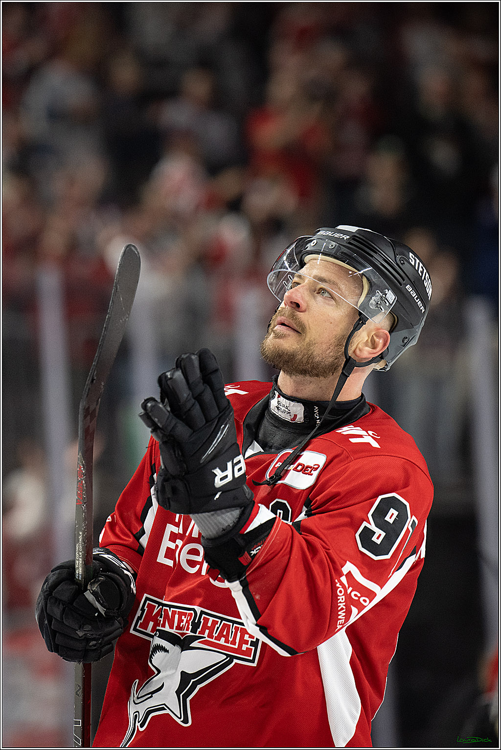 PENNY DEL; Koelner Haie- ERC Ingolstadt; Koeln, 04.04.2025