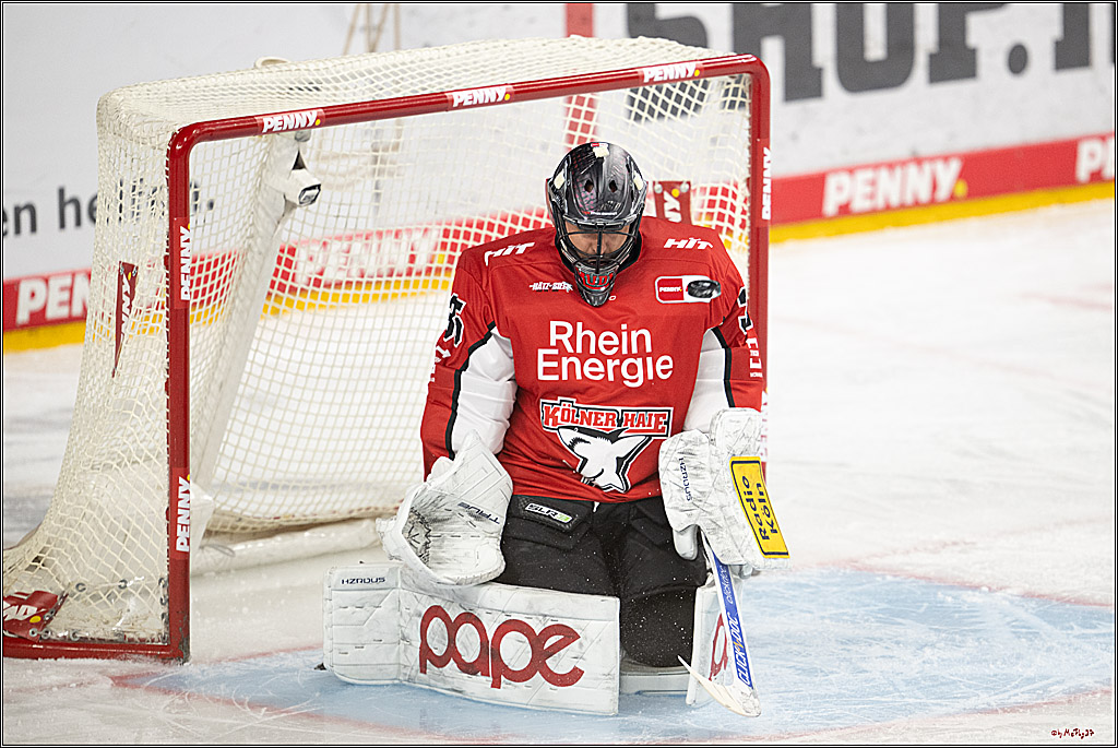 PENNY DEL 1 - Playoff Halbfinale; Kölner Haie - ERC Ingolstadt; Köln, 09.04.2025