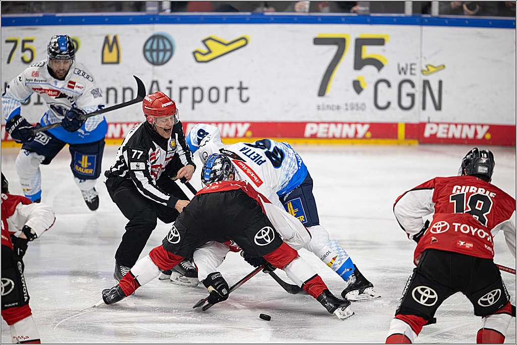 PENNY DEL 1 - Playoff Halbfinale; Kölner Haie - ERC Ingolstadt; Köln, 09.04.2025