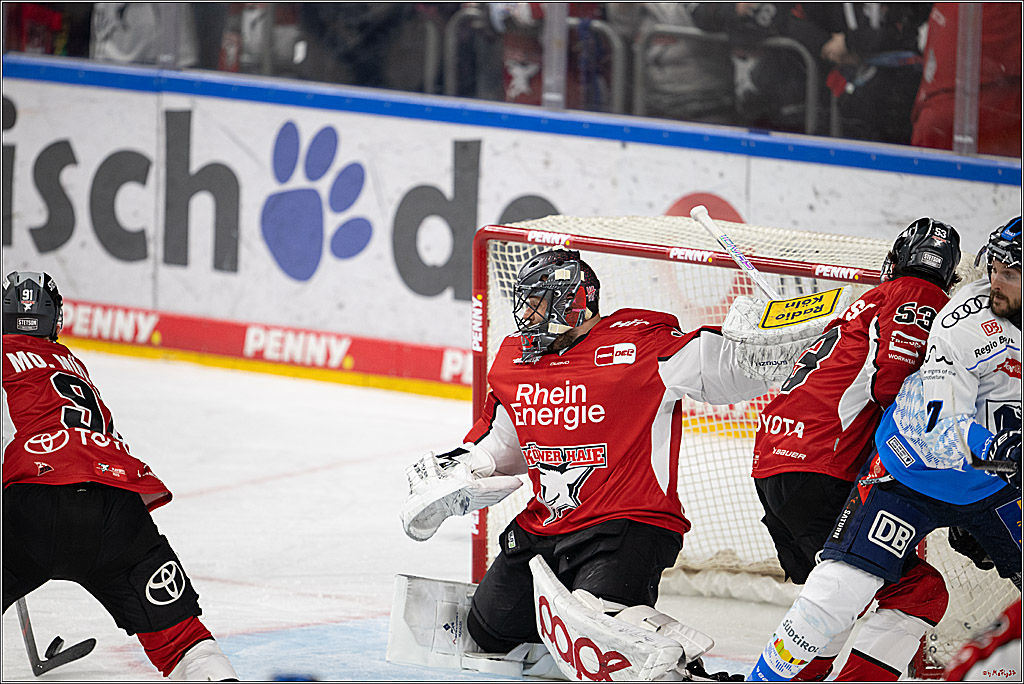 PENNY DEL 1 - Playoff Halbfinale; Kölner Haie - ERC Ingolstadt; Köln, 09.04.2025