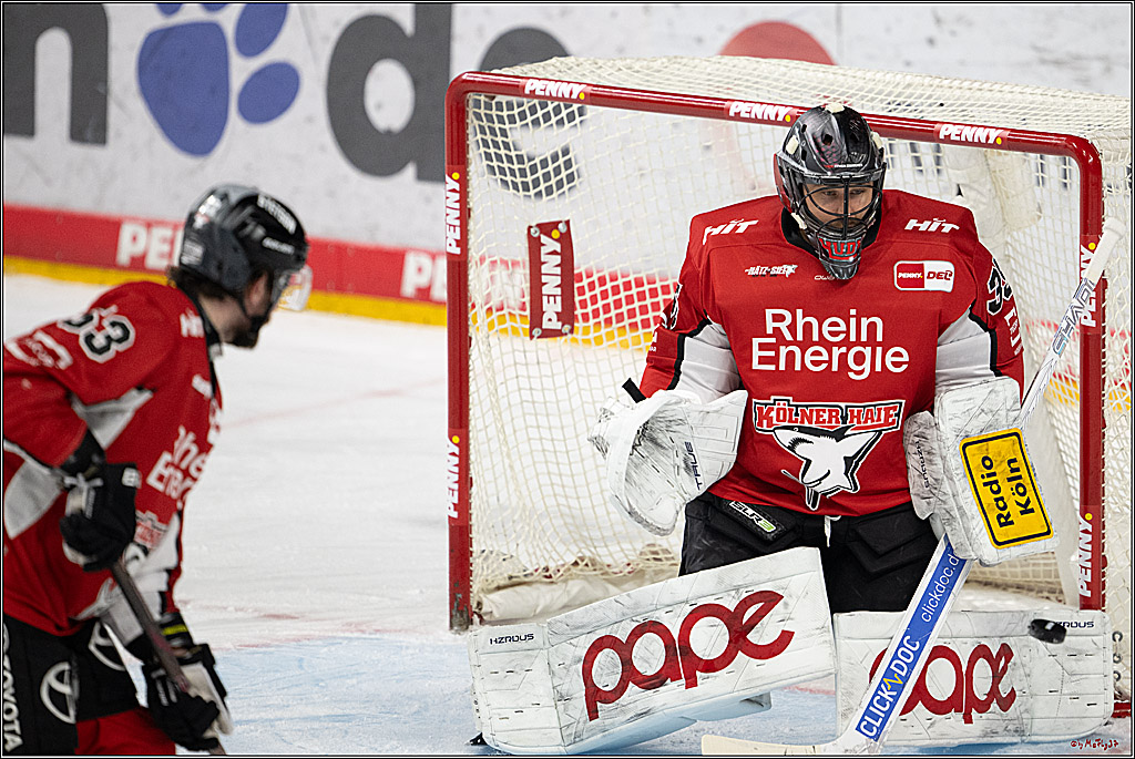 PENNY DEL 1 - Playoff Halbfinale; Kölner Haie - ERC Ingolstadt; Köln, 09.04.2025