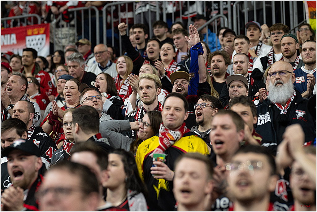 PENNY DEL 1 - Playoff Halbfinale; Kölner Haie - ERC Ingolstadt; Köln, 09.04.2025