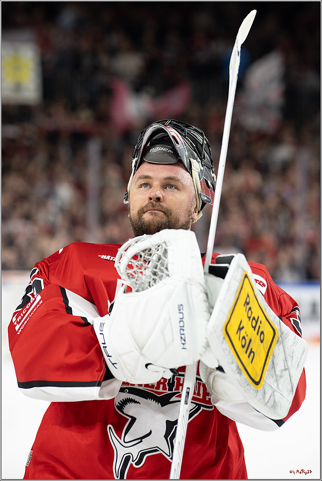 PENNY DEL 1 - Playoff Halbfinale; Kölner Haie - ERC Ingolstadt; Köln, 09.04.2025