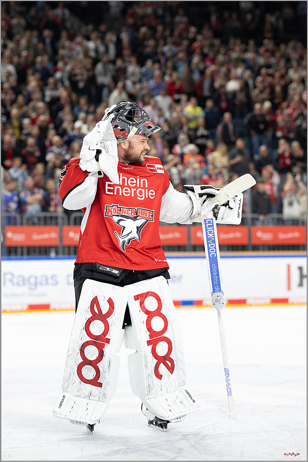 PENNY DEL 1 - Playoff Halbfinale; Kölner Haie - ERC Ingolstadt; Köln, 09.04.2025