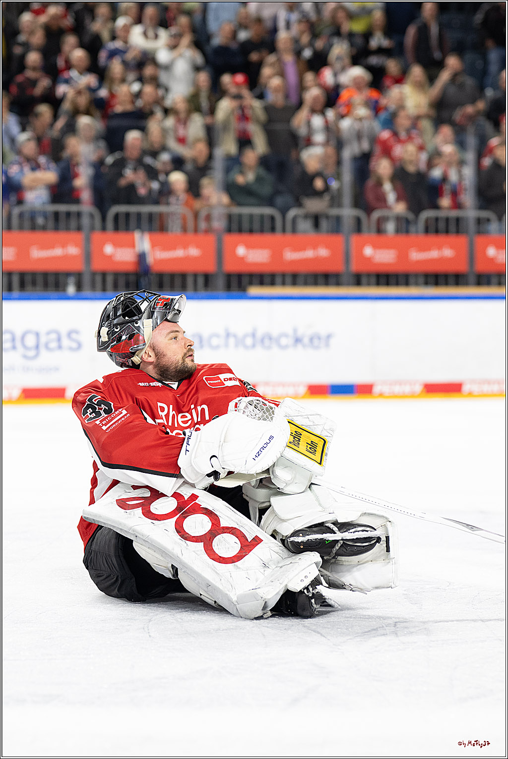 PENNY DEL 1 - Playoff Halbfinale; Kölner Haie - ERC Ingolstadt; Köln, 09.04.2025