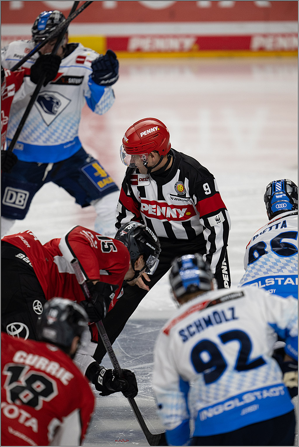 PENNY DEL 1 - Playoff Halbfinale; Kölner Haie - ERC Ingolstadt; Köln, 14.04.2025