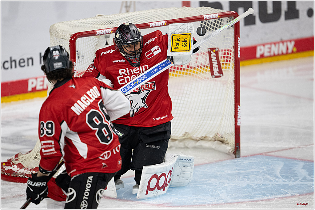 PENNY DEL 1 - Playoff Halbfinale; Kölner Haie - ERC Ingolstadt; Köln, 14.04.2025
