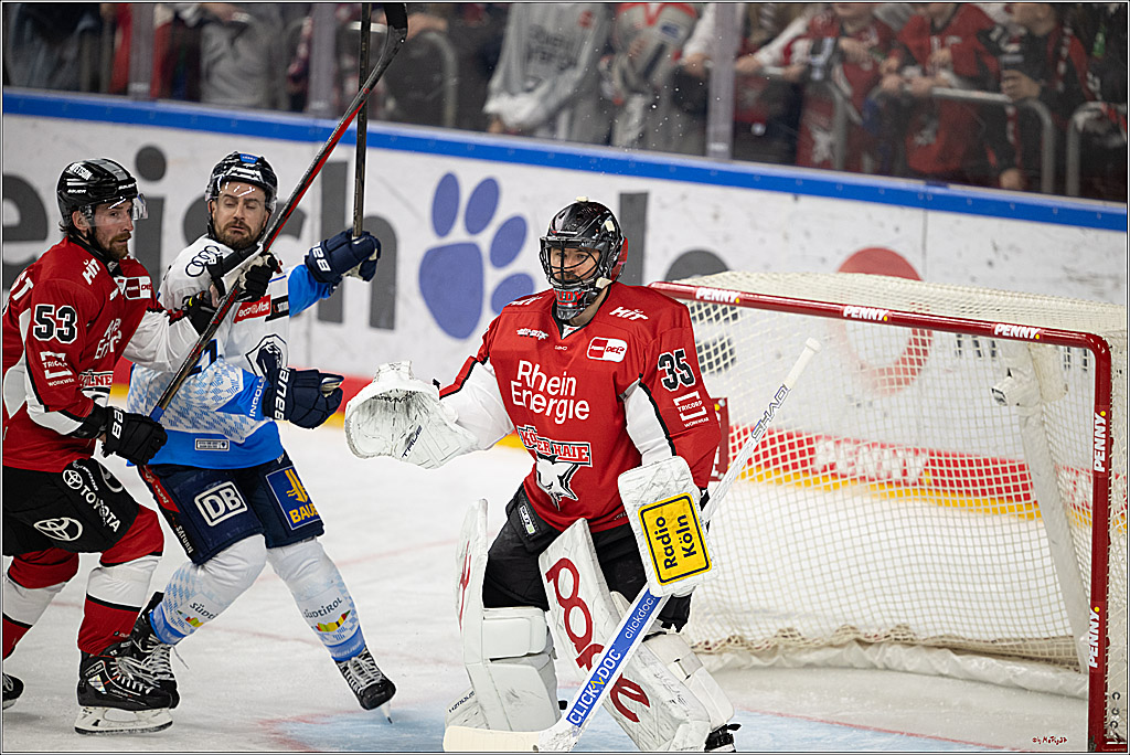 PENNY DEL 1 - Playoff Halbfinale; Kölner Haie - ERC Ingolstadt; Köln, 14.04.2025