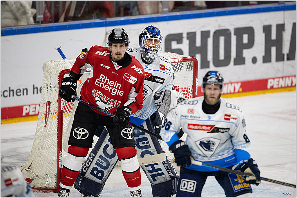 PENNY DEL 1 - Playoff Halbfinale; Kölner Haie - ERC Ingolstadt; Köln, 14.04.2025