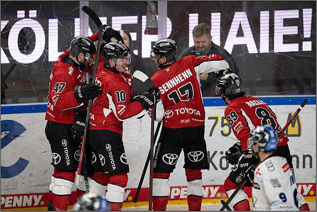 PENNY DEL 1 - Playoff Halbfinale; Kölner Haie - ERC Ingolstadt; Köln, 14.04.2025