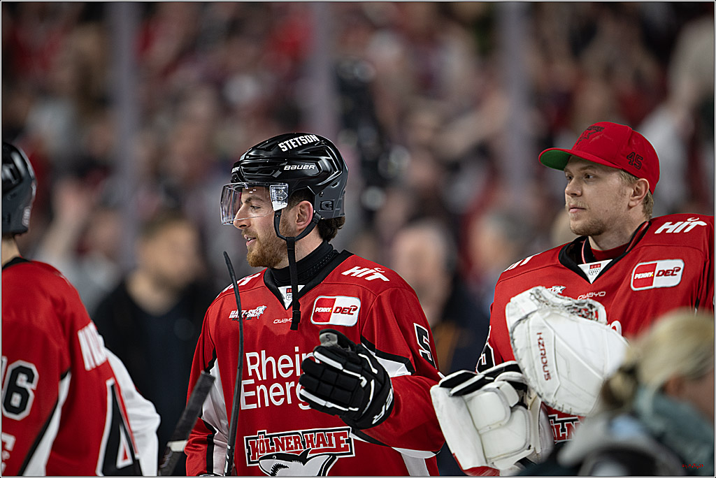 PENNY DEL 1 - Playoff Halbfinale; Kölner Haie - ERC Ingolstadt; Köln, 14.04.2025
