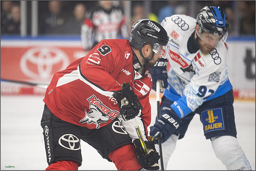 PENNY DEL 1 - Playoff Halbfinale; Kölner Haie - ERC Ingolstadt; Köln, 14.04.2025