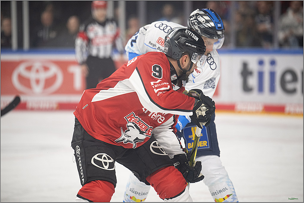 PENNY DEL 1 - Playoff Halbfinale; Kölner Haie - ERC Ingolstadt; Köln, 14.04.2025