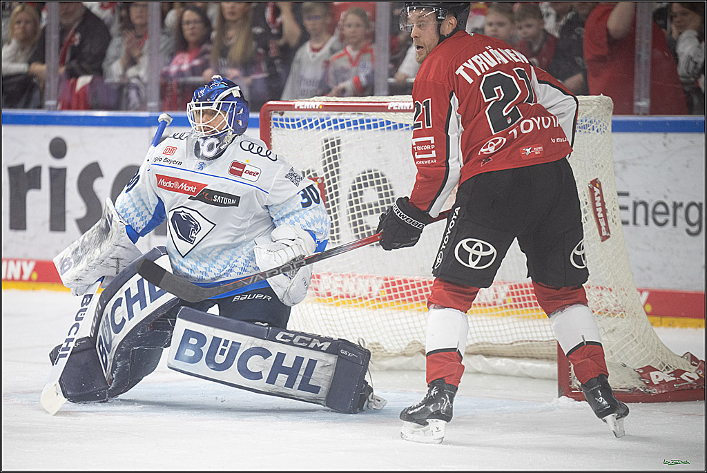 PENNY DEL 1 - Playoff Halbfinale; Kölner Haie - ERC Ingolstadt; Köln, 14.04.2025