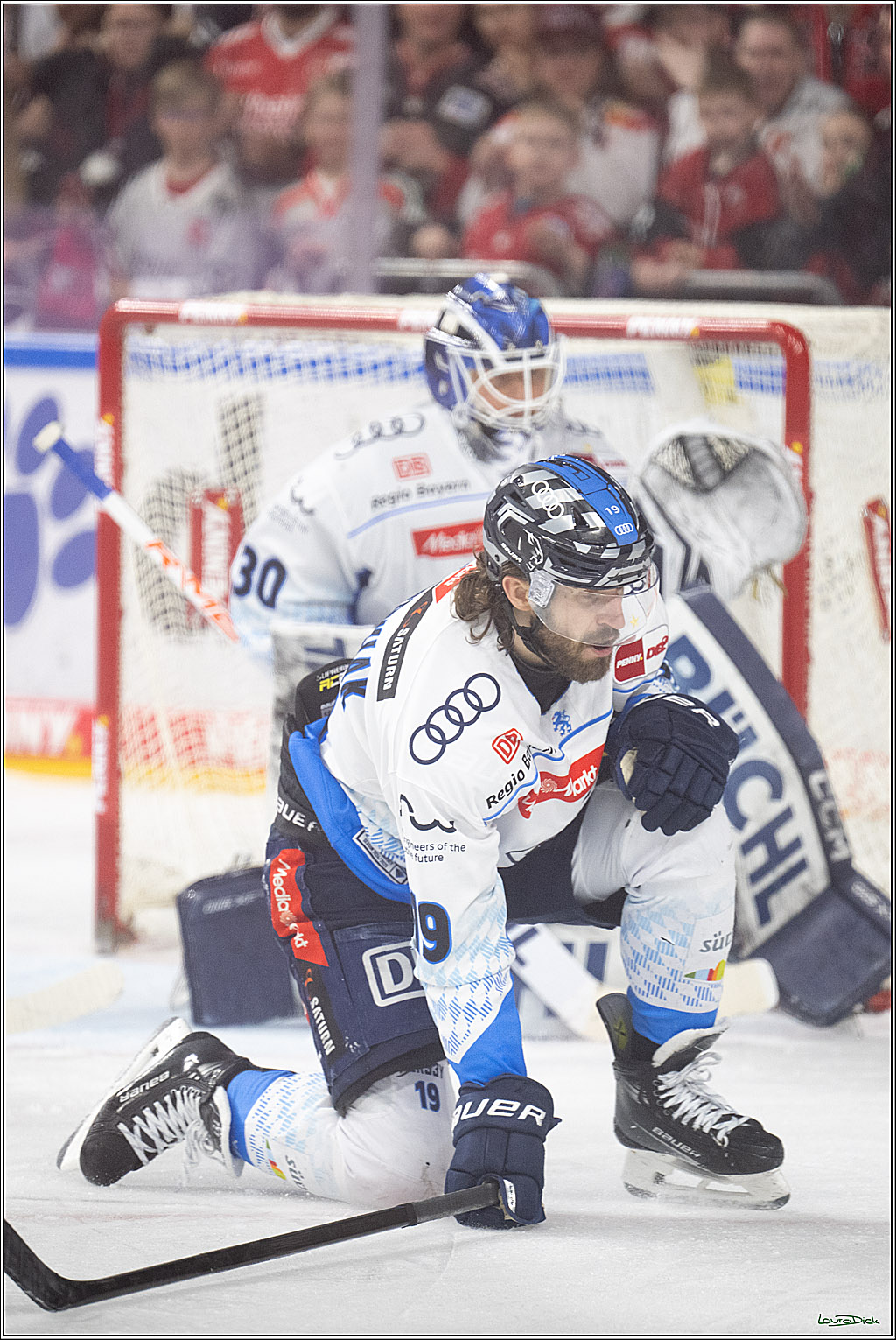 PENNY DEL; Koelner Haie- ERC Ingolstadt; Koeln, 14.04.2025
