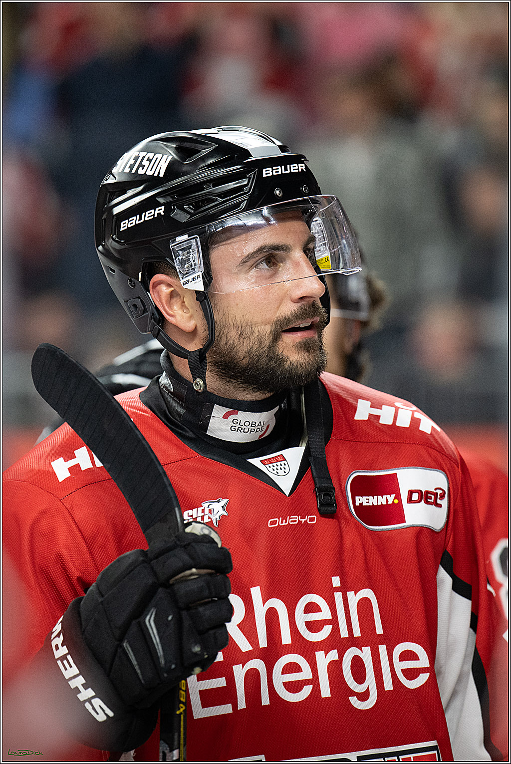 PENNY DEL; Koelner Haie- ERC Ingolstadt; Koeln, 14.04.2025