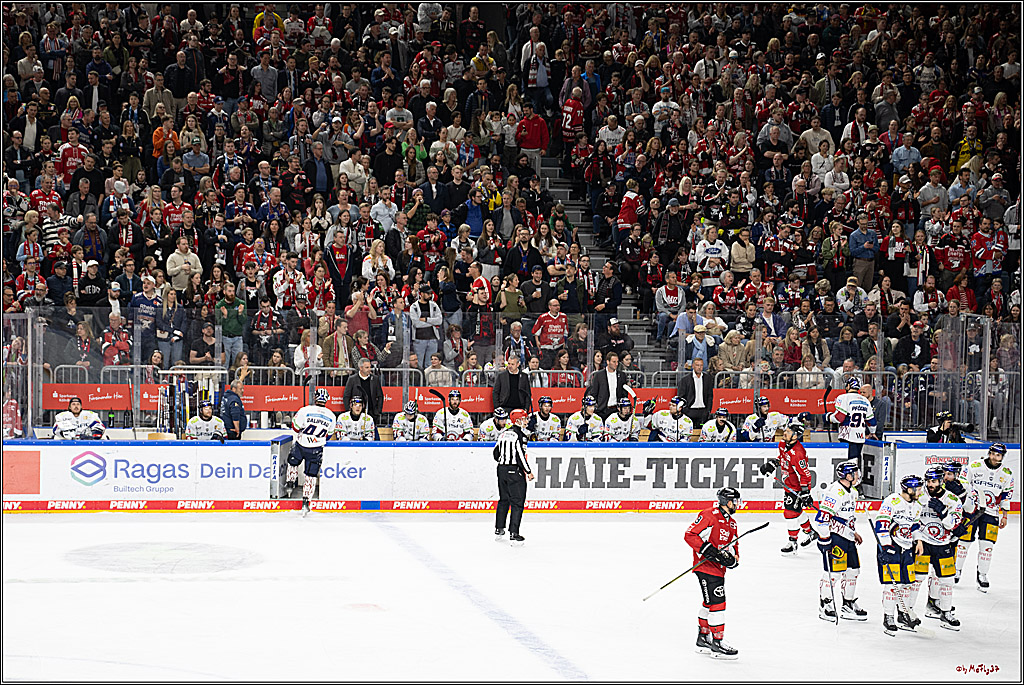 PENNY DEL 1 - Playoff Finale; Kölner Haie - Eisbären Berlin; Köln, 19.04.2025