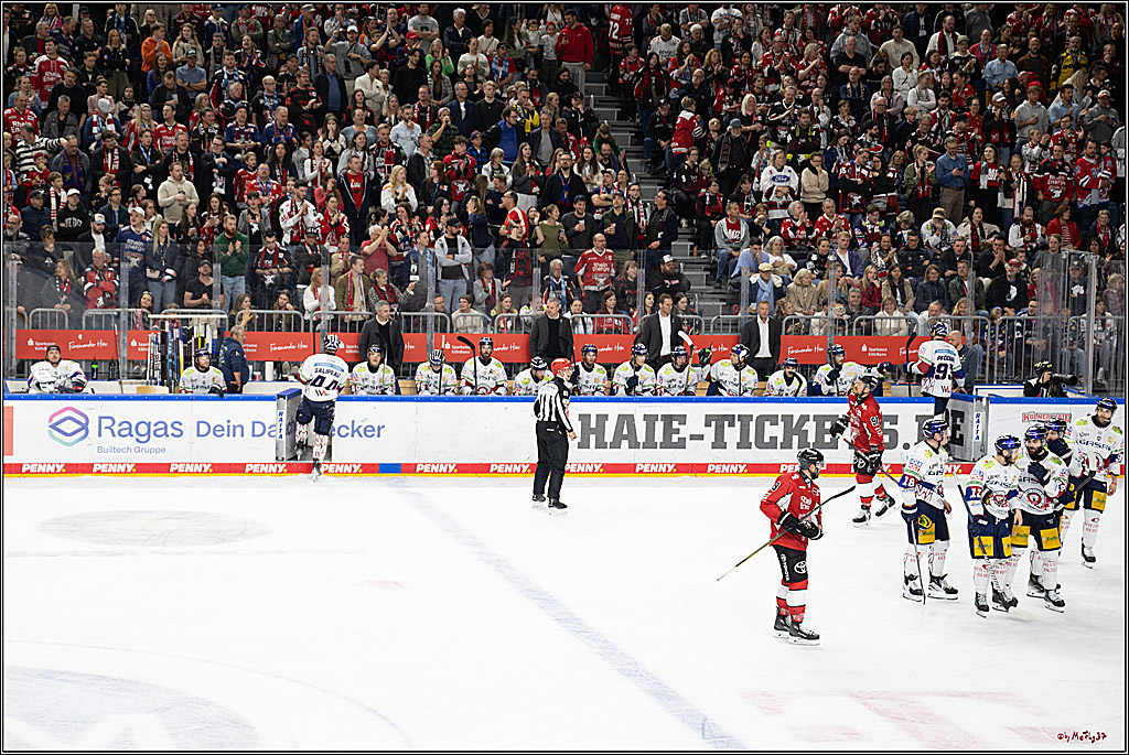 PENNY DEL 1 - Playoff Finale; Kölner Haie - Eisbären Berlin; Köln, 19.04.2025