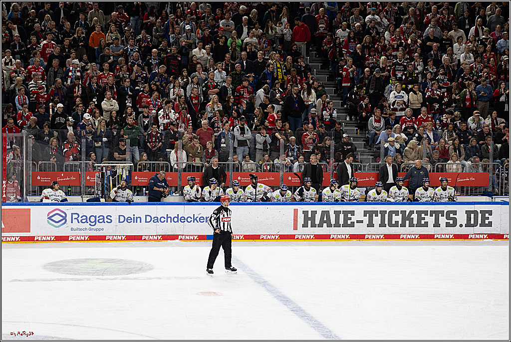 PENNY DEL 1 - Playoff Finale; Kölner Haie - Eisbären Berlin; Köln, 19.04.2025