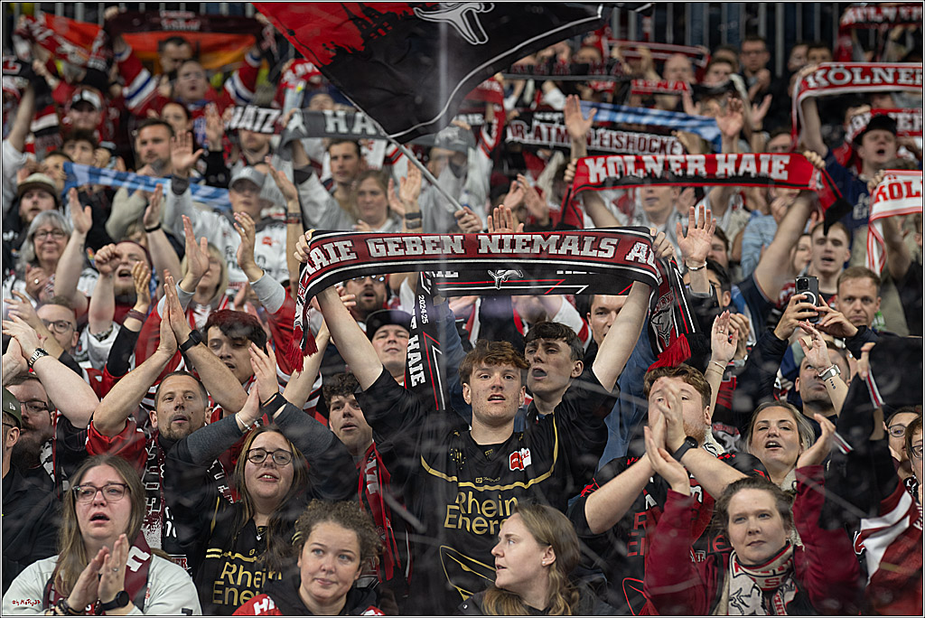 PENNY DEL 1 - Playoff Finale; Kölner Haie - Eisbären Berlin; Köln, 23.04.2025
