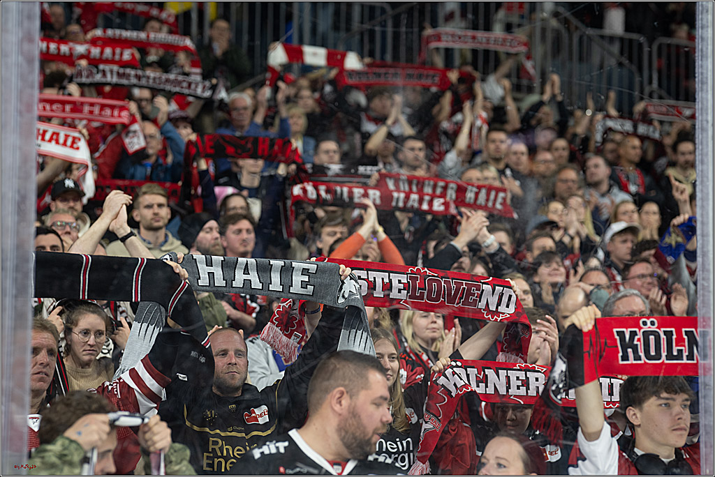 PENNY DEL 1 - Playoff Finale; Kölner Haie - Eisbären Berlin; Köln, 23.04.2025