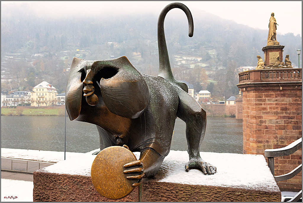 Heidelberg; Heidelberg, 14.12.2022