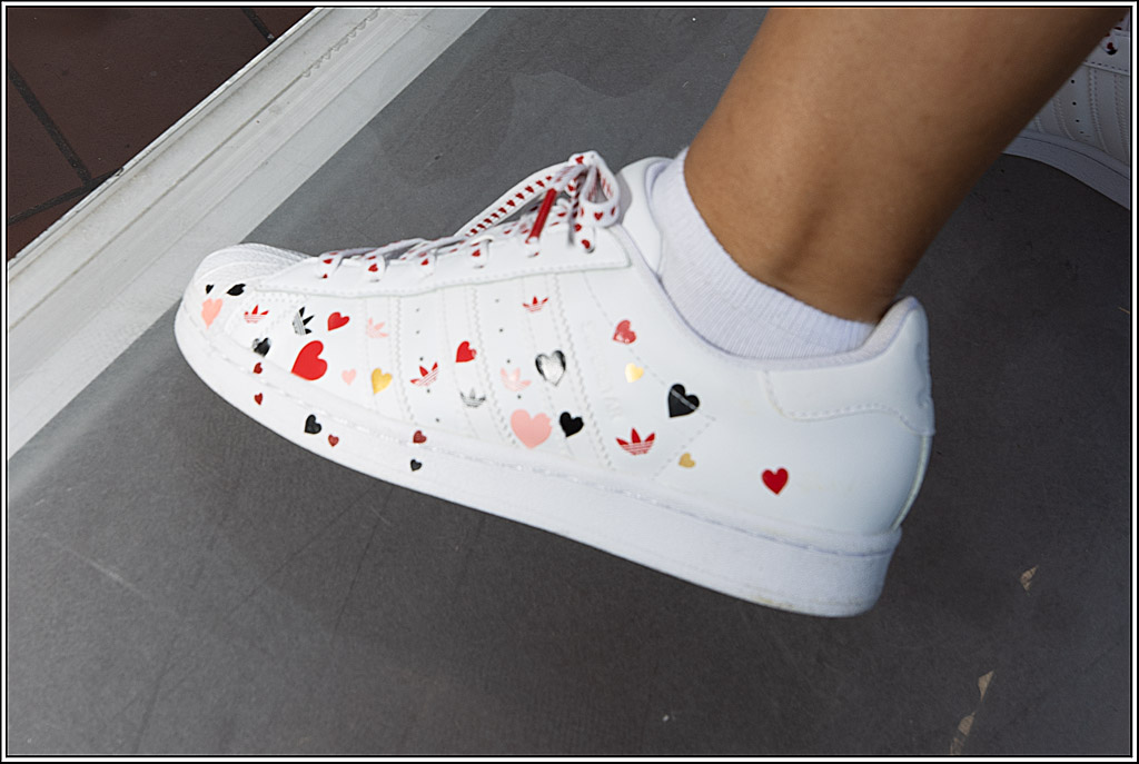 facilicon - Sommerfest; Rodenkirchen, 11.08.2023