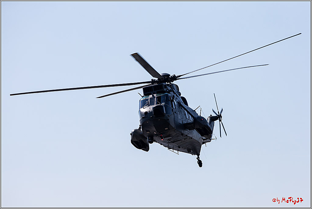 DICK2451