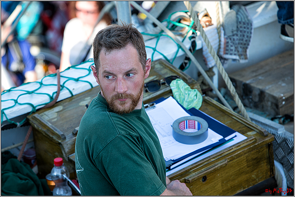 DICK3660