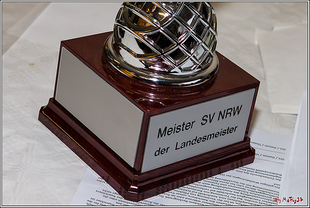 Meister der Landesmeister SVNRW, 15.11.2014