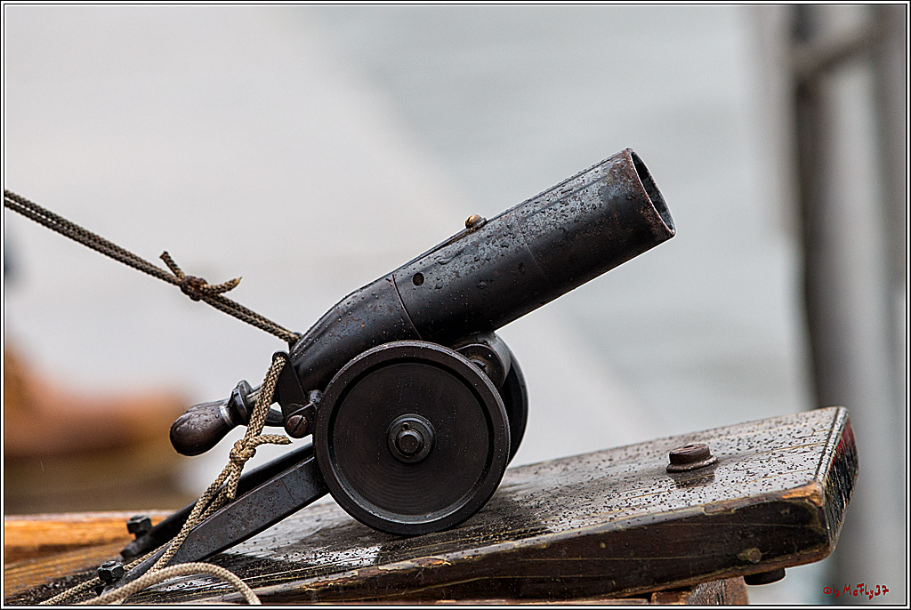 Meister der Landesmeister SVNRW, 16.11.2014