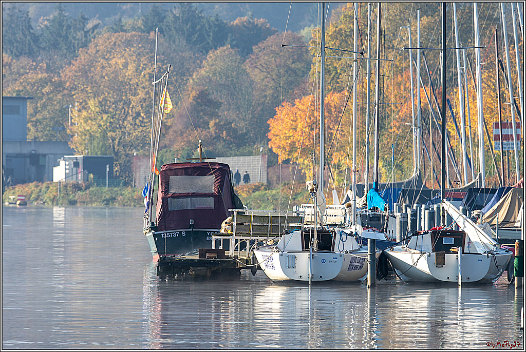 Miester der Landesmeister NRW 2019, 10.11.2019