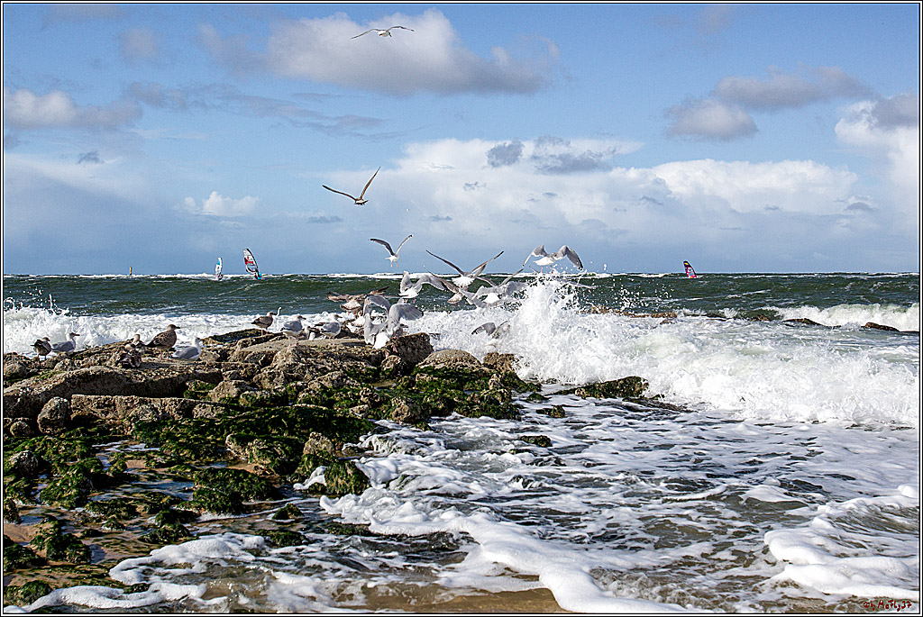 PWA - Mercedes-Benz - World Windsurfing Tour Sylt 2019  - Freestyle Men - Wave Men; Sylt Westerland, 30.09.2019