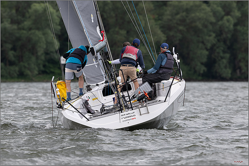 Rheinwoche 2025 1. Regattatag, 07.06.2025