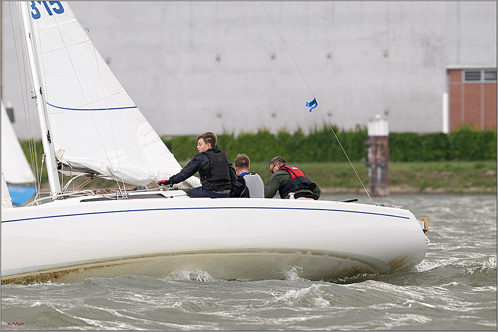 Rheinwoche 2025 1. Regattatag, 07.06.2025