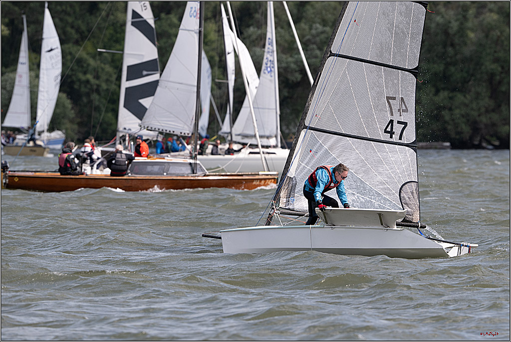 Rheinwoche 2025 1. Regattatag, 07.06.2025