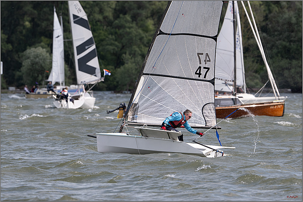 Rheinwoche 2025 1. Regattatag, 07.06.2025