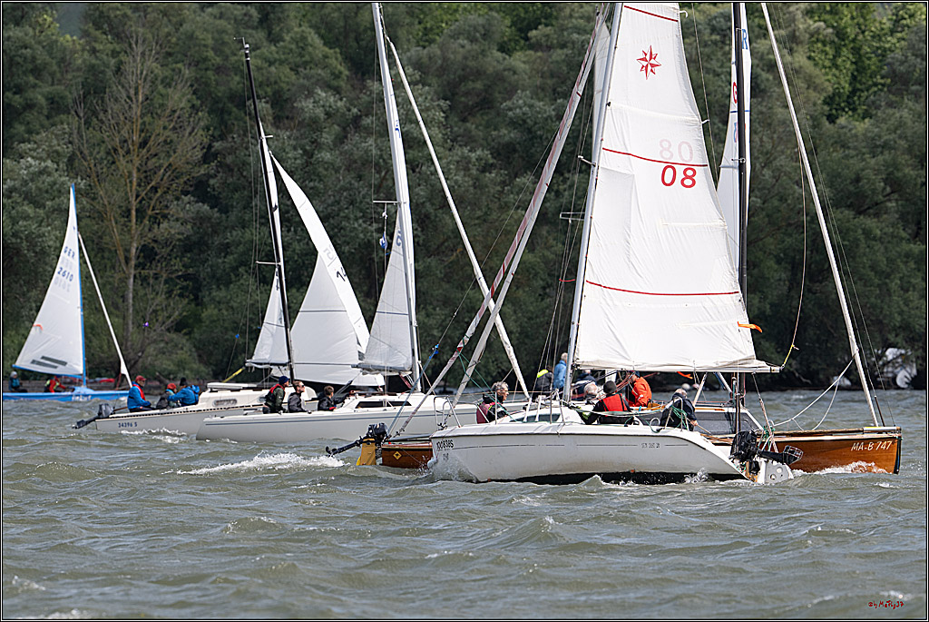Rheinwoche 2025 1. Regattatag, 07.06.2025