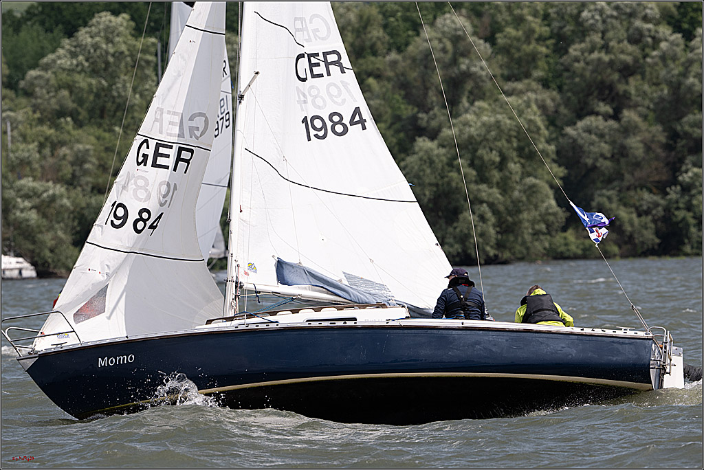 Rheinwoche 2025 1. Regattatag, 07.06.2025