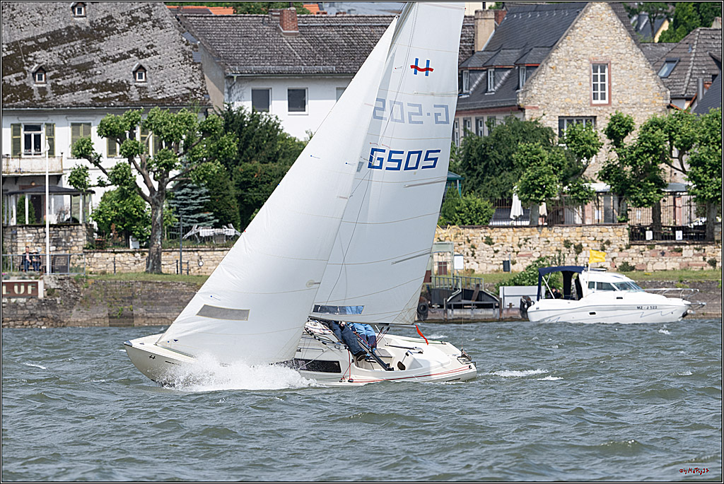 Rheinwoche 2025 1. Regattatag, 07.06.2025