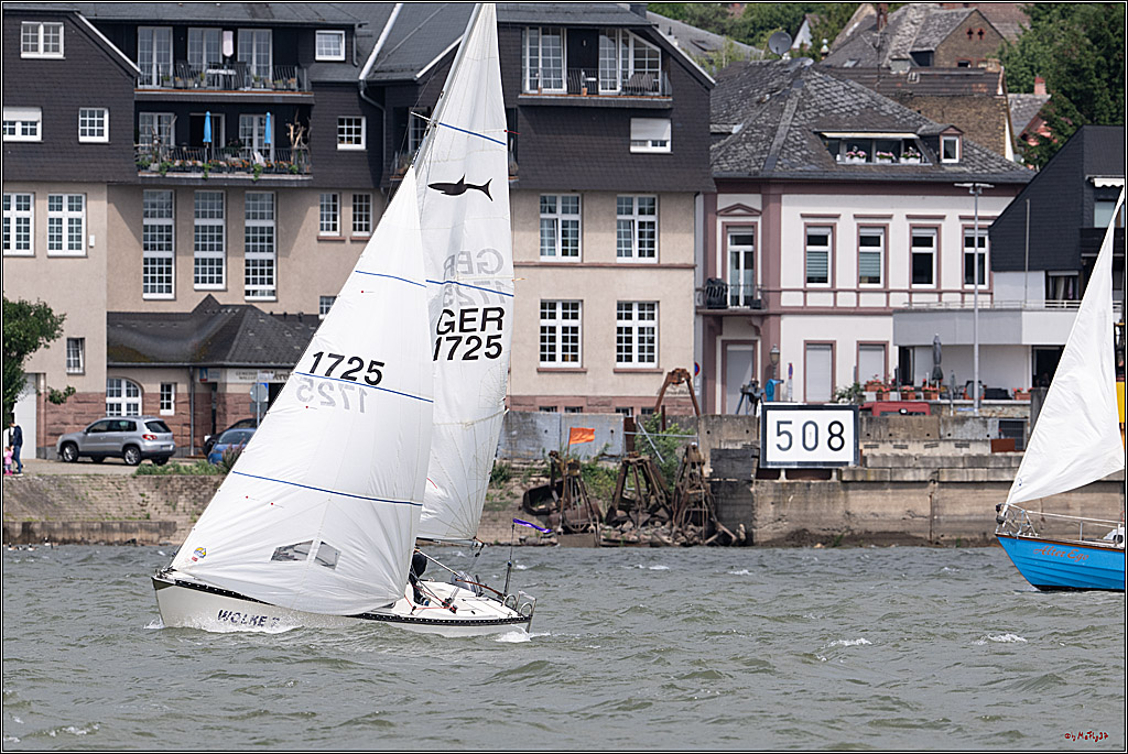 Rheinwoche 2025 1. Regattatag, 07.06.2025