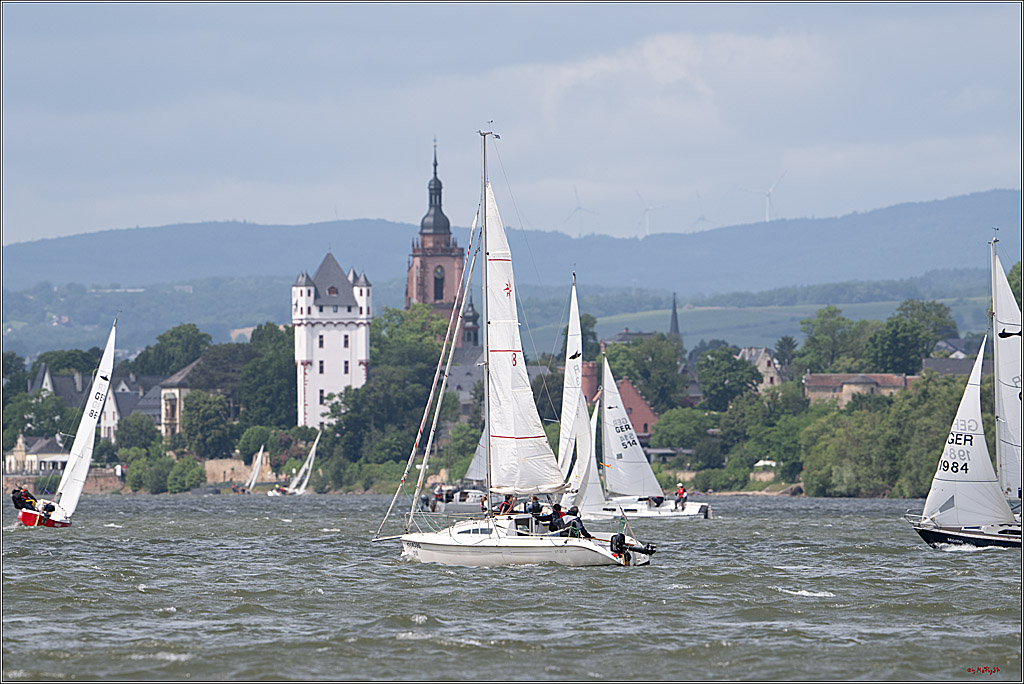 Rheinwoche 2025 1. Regattatag, 07.06.2025
