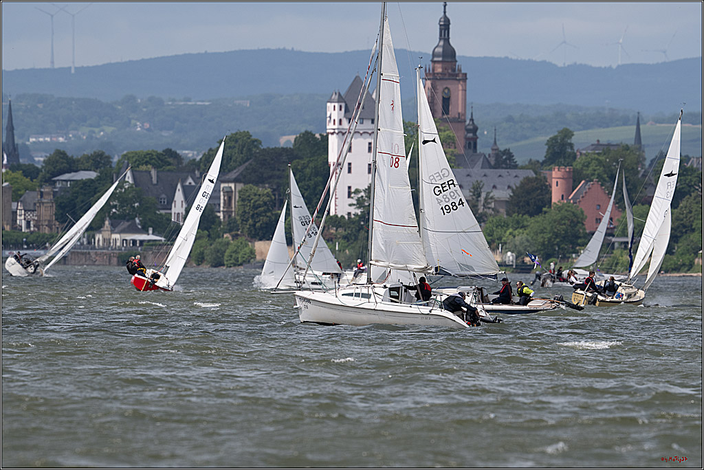 Rheinwoche 2025 1. Regattatag, 07.06.2025
