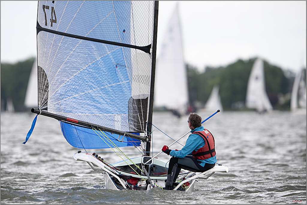 Rheinwoche 2025 1. Regattatag, 07.06.2025