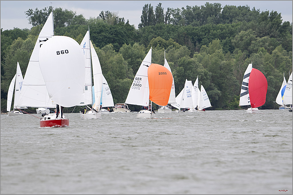 Rheinwoche 2025 1. Regattatag, 07.06.2025