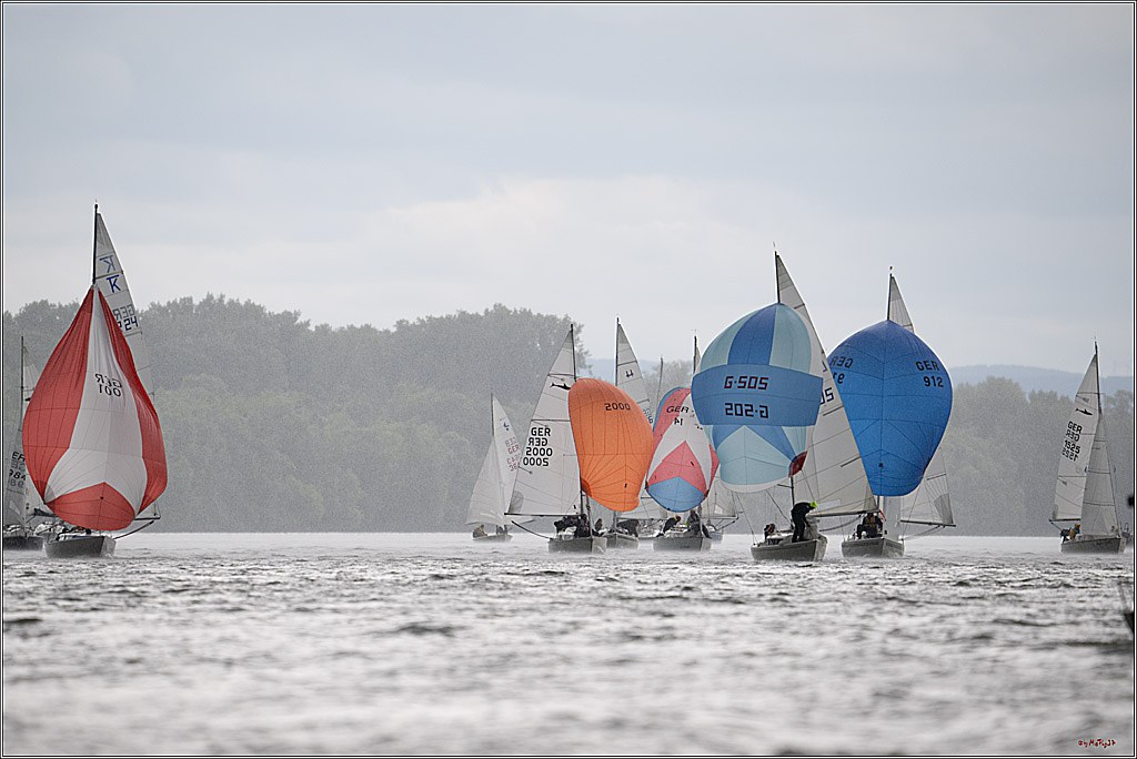 Rheinwoche 2025 1. Regattatag, 07.06.2025