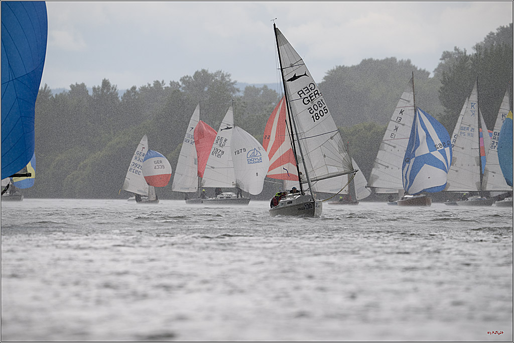 Rheinwoche 2025 1. Regattatag, 07.06.2025