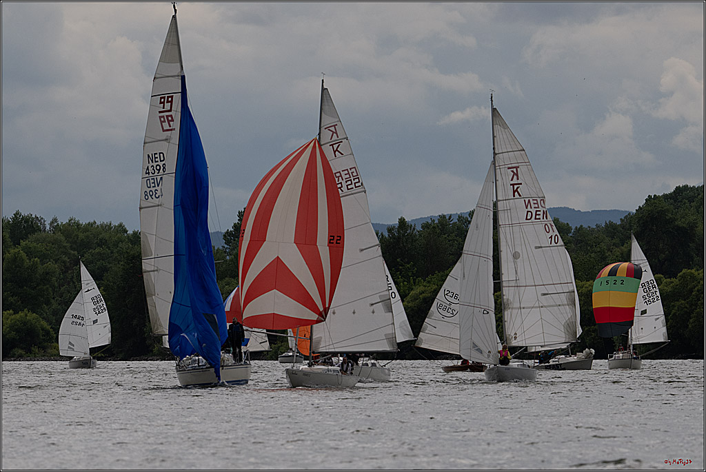 Rheinwoche 2025 1. Regattatag, 07.06.2025